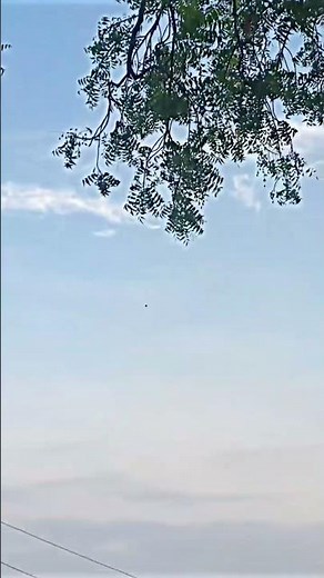 rate this shot🏏💖✨#viratkohli #cricketlover #rcbians #cricket #shorts