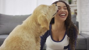 ADAMS Ear Mite Treatment For Dogs and Cats Over 12 Weeks, Kills Ear Mites On Contact, Relief For Dogs and Cats Suffering From Ear Mites, Soothing Aloe and Lanolin Formula, 0.5 fl oz