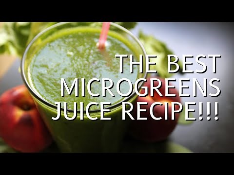 Jordan's Favorite Microgreens Juicing Recipe // Birdie & The Bees Farm