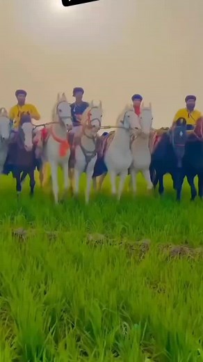 #foryou #foryoupage #horselover #horseriding