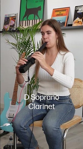 D Soprano Clarinet - Travel Clarinet Sounds!
