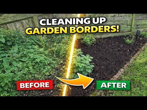 Border Clean-up & Grape Vine Pruning