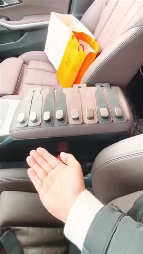 Affordable Car Hooks for Seat Back Organization