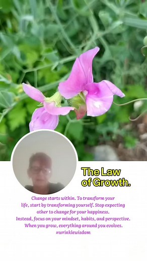The law of growth #warriorwoman #wrinklewisdom #wauchope #southerncruxwitch #growthmindset #aussiebbbum👙 #havenhutbeauty #Havenhutglow #kindness | Gail Veronica