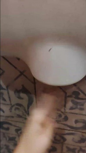 xlerator hand dryer at a restaurant in london