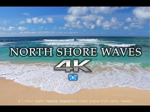4K NORTH SHORE WAVES Oahu Endless Video Screensaver | Nature Relaxation™ Hawaii