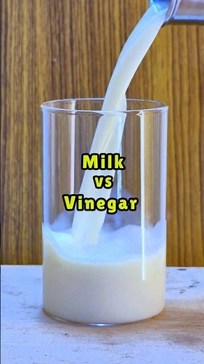 Vinegar 🥤 vs Milk 🥛 #VinegarVsMilk #ScienceExperiment #funscience