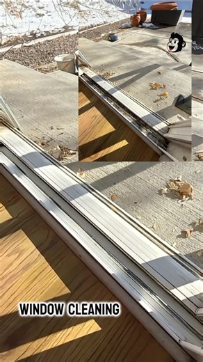 A well-cared-for home is built on the small details done right. Secure screens keep things looking sharp and keep unwanted bugs outside, while crystal-clear windows invite the sunshine back in. We also handle the often-forgotten tasks like window beading repairs and gutter cleaning, so everything functions beautifully and looks just as good. Schedule your service today and enjoy a home that feels brighter, fresher, and thoughtfully maintained. Email: info@myglassmonkey.com Contact number: (303) 