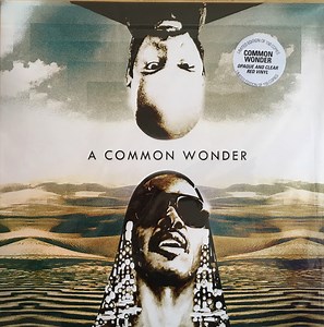 Amerigo Gazaway - A Common Wonder