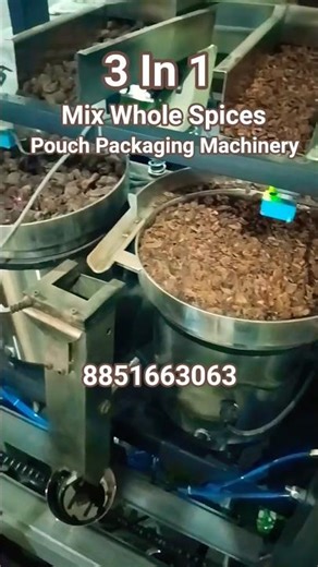 Mix Khada Masala Packing Machine | Ek hi pouch mein 10 item pack karein