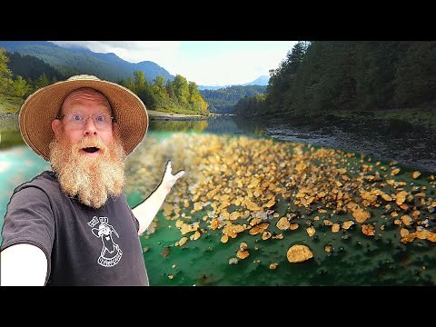 Why are there 96,000,000 pieces of gold in this one pan?