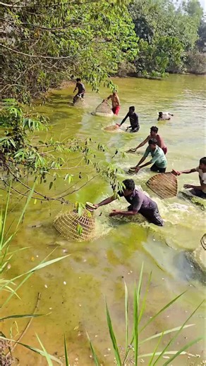 Wow! Amazing Polo Fishing Videos ! Best Big Fish Catching ! Primitive Technique fishing #fish #india