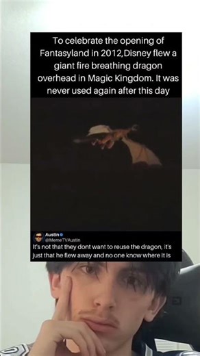 To celebrate Fantasyland in 2012,Disney flew a fire-breathing dragon over the park never seen again