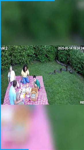 9.4K views · 40 reactions | "Everyone runs from surprise guest! " | The Shark Puppet | Facebook