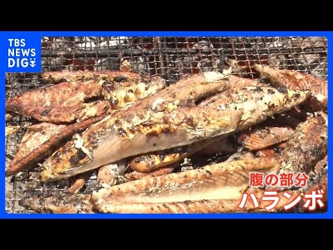 今が旬！初カツオが安い 「去年より200～300円くらい安く提供できている」 燃料高騰で打撃も…豊漁の高知では大行列！ 地元で人気の「ハランボ」とは｜TBS NEWS DIG