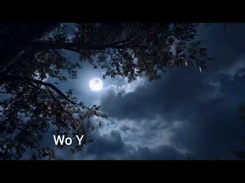 Wo Chand Jaisi Ladki...