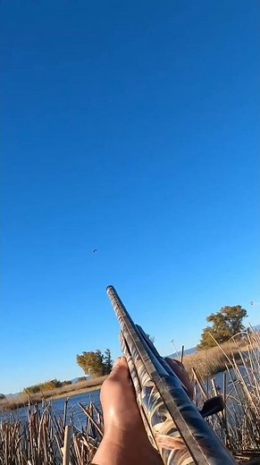 Love these types of shots,flying from left to right ? #duckhunting #hunting #duck ‪@bossshotshells‬