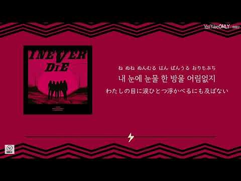 日本語字幕【 TOMBOY 】 (G)I-DLE