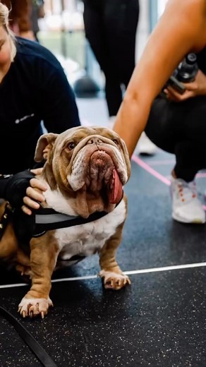 4.9K views · 106 reactions | Thank you @prevailboxing for hosting our...