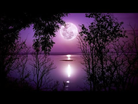 Healing Sleep Music ★︎ Mind and Body Rejuvenation ★︎ Black Screen, Fall Asleep Fast, Delta Waves