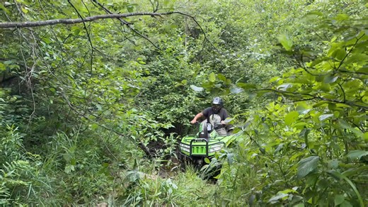 Ricky Bobby creek crossing | Cubbeezx ATV Adventures
