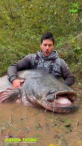 4.7M views · 62K reactions | Sometimes you’re lucky  enough to catch a fish that looks like it’s come out of prehistoric times! 念 @vagnerfishing @jakubvagner_official @charly.dally #prehistoric #lucky #vagnerfishing #reel #instamood #fishing #wildlife #catfish #trip #monster #destination #river #catch #sometimes #viralreels | Charly Dally | Facebook