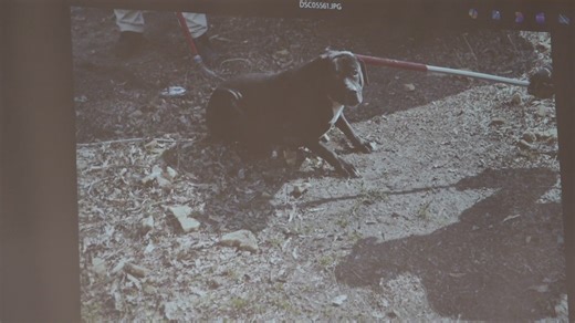 Testimony begins in trial over 2024 fatal dog attack in Longview