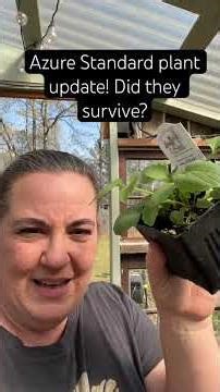 Azure Standard plant update. Did they survive? #azurestandard #azurestandardhaul