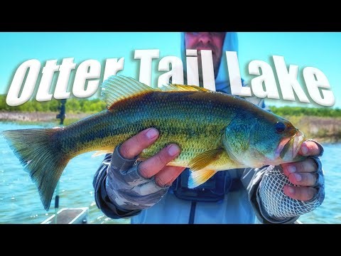 Where are ALL the Walleyes?