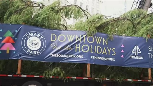 Happy Friday, Portland! Our city’s Magnificent Tree is being harvested TODAY from Stimson Lumber’s sustainable forestlands in Timber, Oregon! 🌲 From there, it will make its way to Portland’s Living room by way of Santa himself on Wednesday, November 12 at 11am! Bring the whole family and come see the city’s spectacular tree roll into Downtown and kick off the holiday season with Santa, joyful carolers, tubas, city dignitaries, and more, all while enjoying FREE hot cocoa from our neighbors at @b