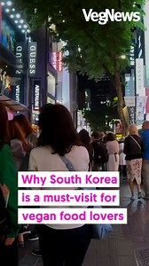 10K views · 282 reactions | South Korea may be known for its meaty barbecue cuisine and colorful street food, but there are also plenty of vegan options to be found in restaurants, temples, and on the streets of cities like the capital, Seoul. Read more at VegNews.com/southkorea | VegNews | Facebook