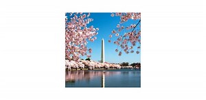 5 Fabulous us spring break destinations - Conselho 2025