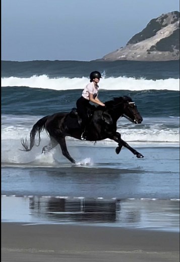The best moments 🌊 #equestrian #eq #viral #fyp #beachgallop #galloping #gallop #campeonevie #campeonevie #hozier #hoziersyell
