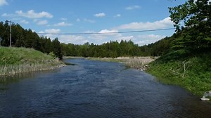 Drone, Swamp, River, Stream