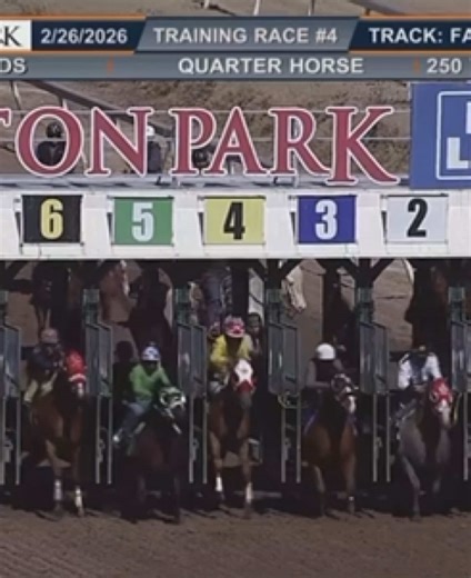 🔥 TRAINING RACE WINNER – REMINGTON PARK 🔥 JUST DELIGHTFUL A son of Corona Cartel out of Our Genuine Delight (by Dash Ta Fame) delivered a standout performance at Remington Park — fastest training race of the day. The sire power continues to shine. ⚡️ #LazyERanch #CoronaCartel #RemingtonPark #TrainingRaceWinner #QuarterHorseRacing