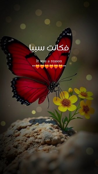 #لااله_الا_انت_سبحانك_اني_كنت_من_ظالمين