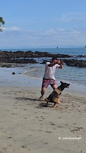 Real Dog Training on TikTok