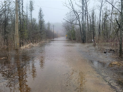 Some Benzie County roads still underwater as the Betsie River drops