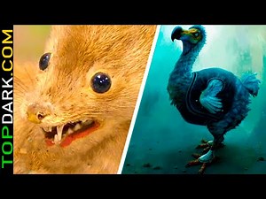 25 Extinct Animals That Can Come Back to Life