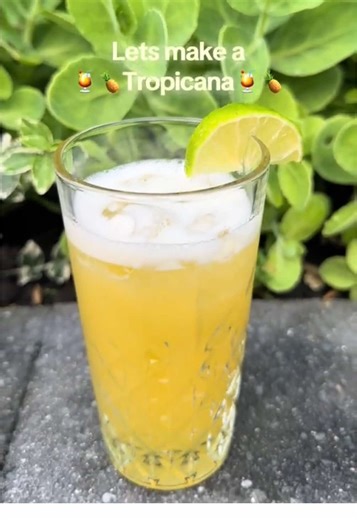 Tropicana Cocktail Recipe for Summer Nights