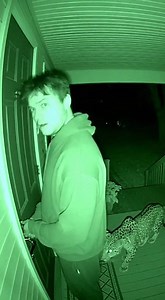 Leopard at the Door: Night Vision Horror Doorbell cam at 2:11 AM shows a sleepy man unlocking the door as a leopard silently appears behind him on the porch. The man freezes as he notices the shadow, and the camera flickers with static for horror effect. | Facts Horizon