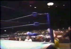 #onthisday in 1988 : The Road Warriors defeat The Midnight Express to win the NWA World Tag Team titles | RassleRama