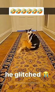 Endeavour Wellness on Reels