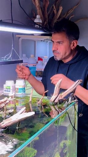 Emilhan Yılmaz on Instagram: "@raven_aquascape 🍀 @masterline.tr @masterline.ro MasterLine Root Caps (60/120 pcs ) Root Fertilizer Revitalizes nutrient-depleted substrates. #aquascape #aquarium #aquascaper #plantedtank #aquatic"