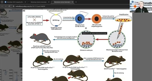 December 2024 Longevity Review – Lifeboat News: The Blog