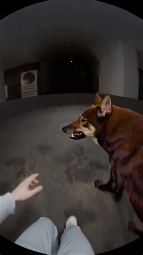 Dark Dog In Tunnel Live Wallpaper for Android