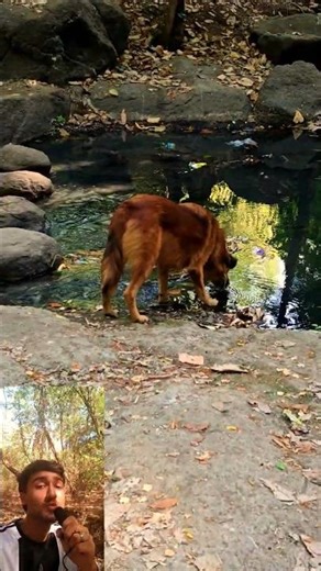 Ancient Lesson - ''Stop Worrying Your Future''🤷 #shorts #mindset #inspiration #support #1k