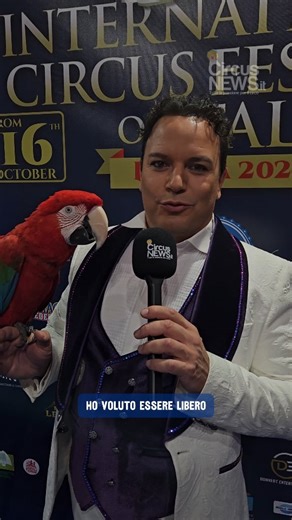 Alessio Fochesato e i suoi pappagalli sorprendenti 🦜✨ ospiti speciali al 26° Festival Internazionale del Circo d’Italia: un incontro di colore, intelligenza e pura meraviglia in scena! #parrot #parrotlover #circusnews #festivalcircoitalia | CircusNews.it