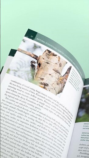 Natural Habitats and Wildlife Gardening: Inviting Nature into Your Backyard