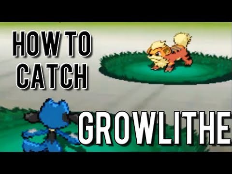 How to Catch Growlithe - Pokemon Black 2 and White 2